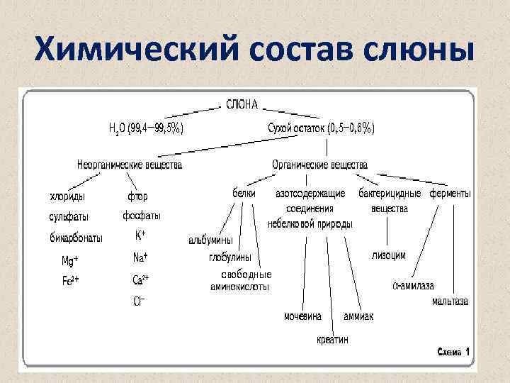 Химический состав слюны 