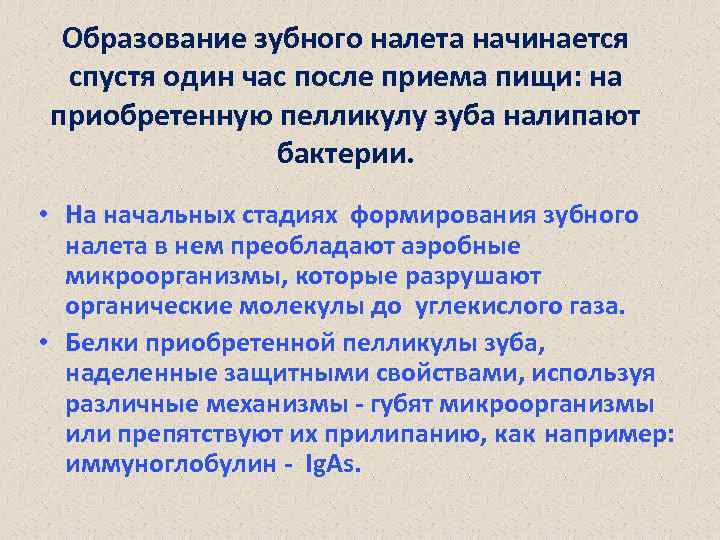 Образование зубного налета начинается спустя один час после приема пищи: на приобретенную пелликулу зуба