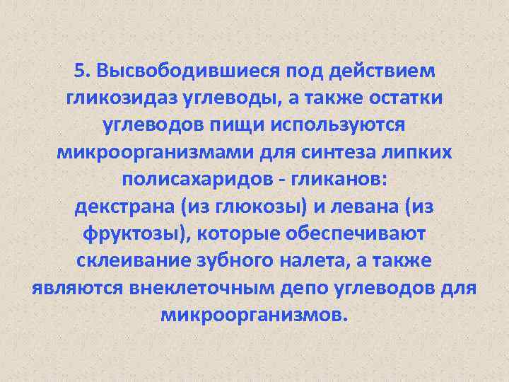 5. Высвободившиеся под действием гликозидаз углеводы, а также остатки углеводов пищи используются микроорганизмами для