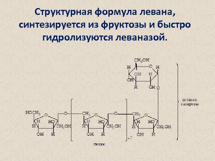 Структурная формула левана, синтезируется из фруктозы и быстро гидролизуются леваназой. 