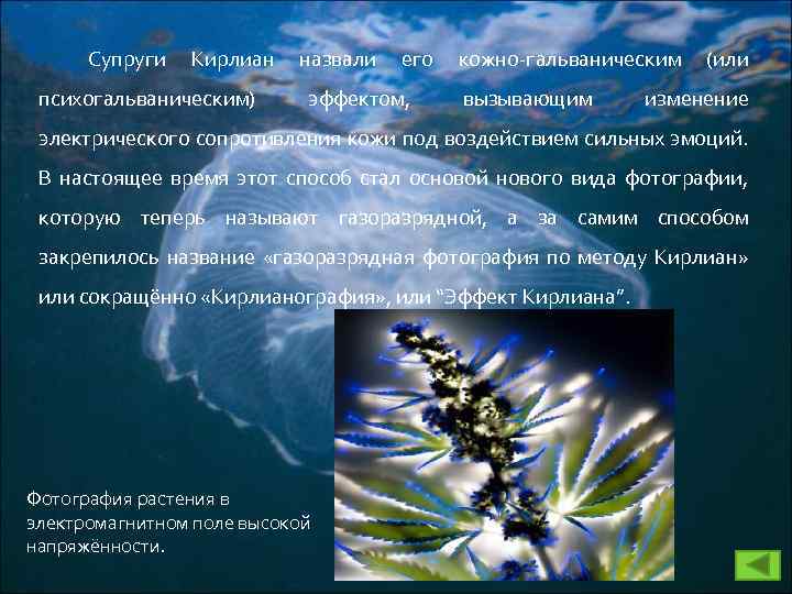 Супруги Кирлиан психогальваническим) назвали его эффектом, кожно-гальваническим вызывающим (или изменение электрического сопротивления кожи под