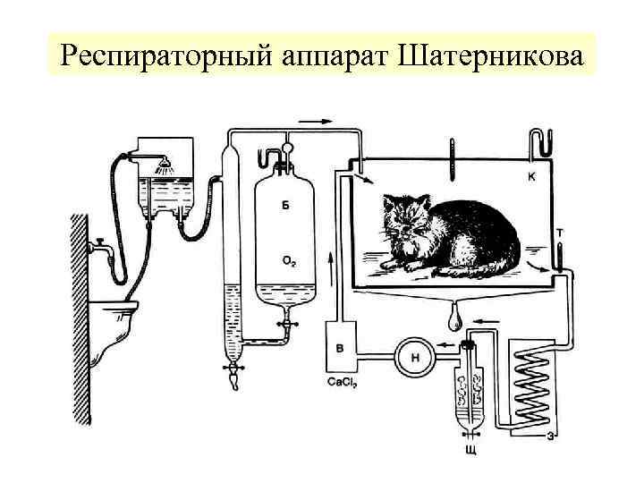 Респираторный аппарат Шатерникова 