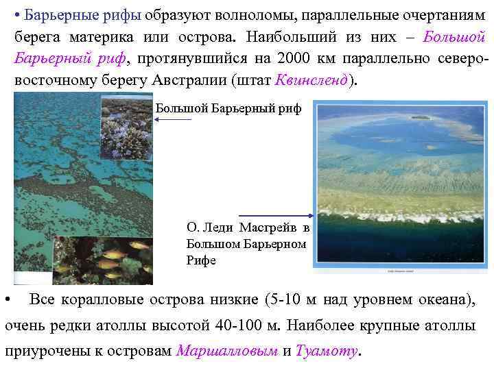  • Барьерные рифы образуют волноломы, параллельные очертаниям берега материка или острова. Наибольший из