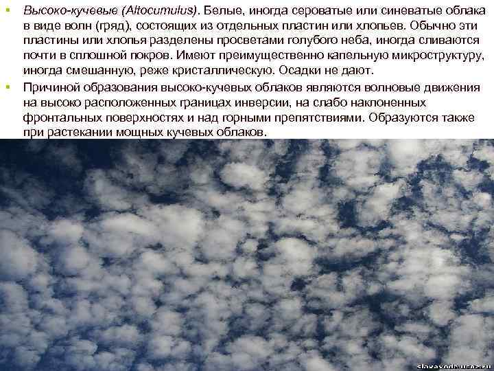 § § Высоко-кучевые (Altocumulus). Белые, иногда сероватые или синеватые облака в виде волн (гряд),