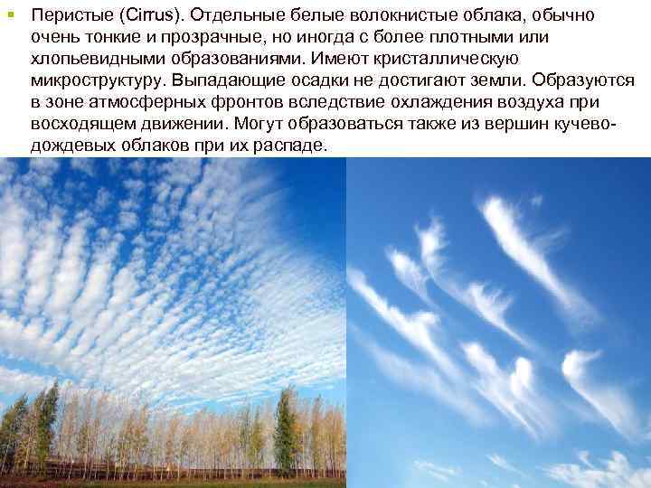 § Перистые (Cirrus). Отдельные белые волокнистые облака, обычно очень тонкие и прозрачные, но иногда