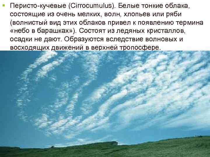 § Перисто-кучевые (Cirrocumulus). Белые тонкие облака, состоящие из очень мелких, волн, хлопьев или ряби