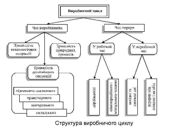 Структура виробничого циклу 