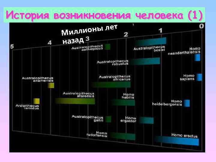 История возникновения человека (1) ны лет Миллио назад 