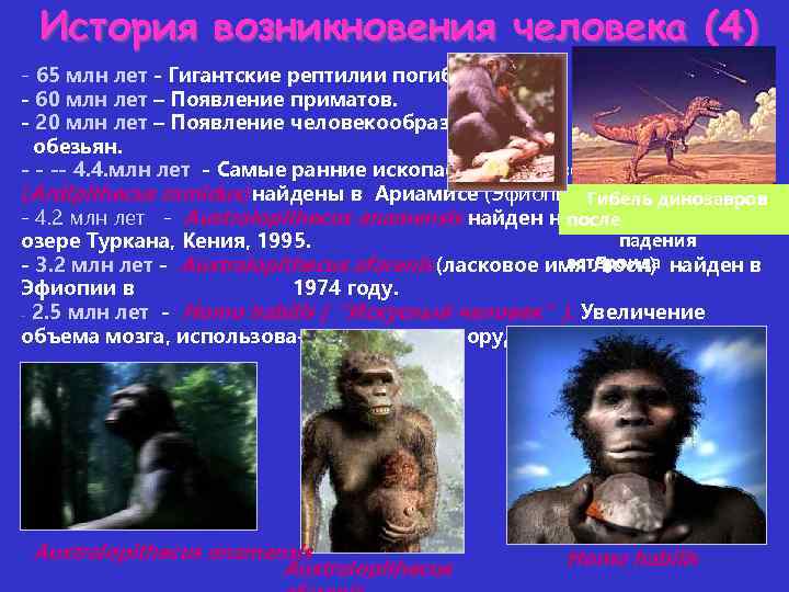 История возникновения человека (4) - 65 млн лет - Гигантские рептилии погибают. - 60