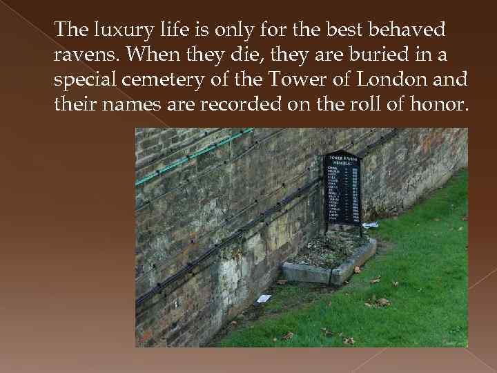 The luxury life is only for the best behaved ravens. When they die, they