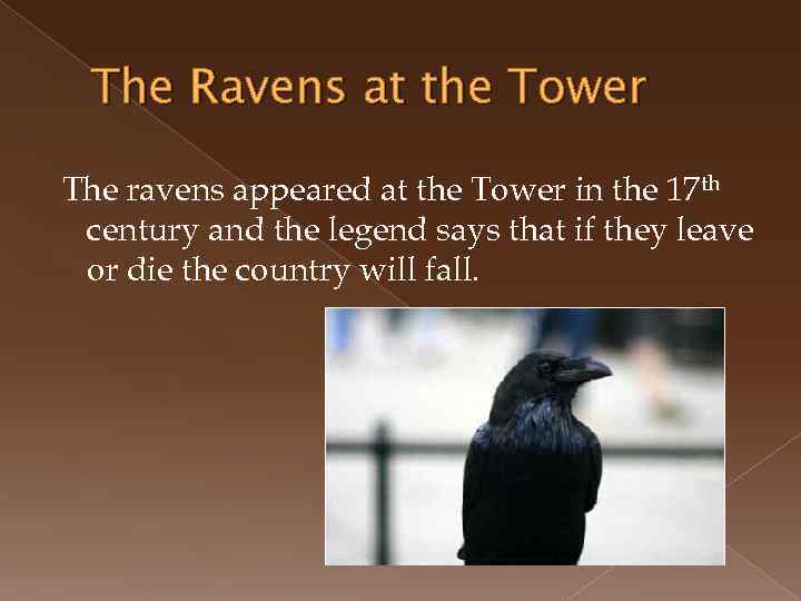 The Ravens at the Tower The ravens appeared at the Tower in the 17