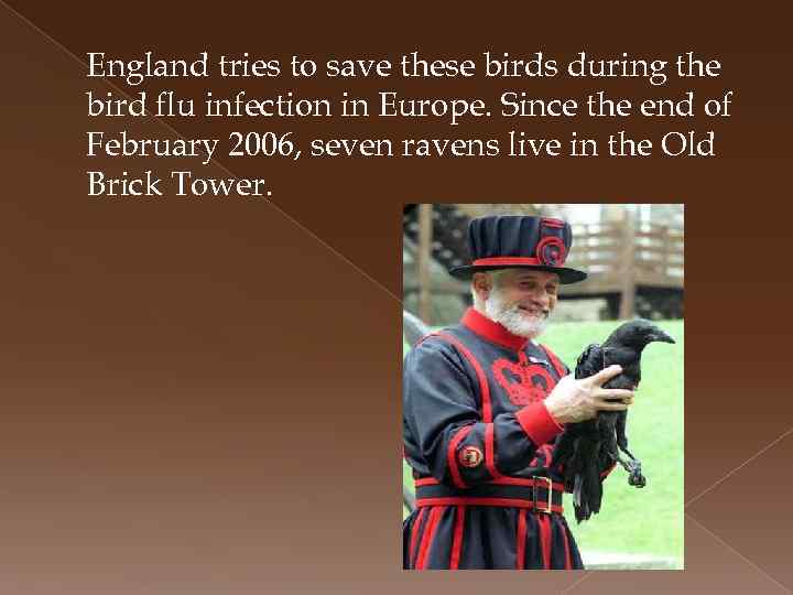 England tries to save these birds during the bird flu infection in Europe. Since