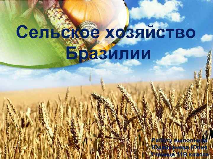 Сельское хозяйство Бразилии Работу выполнила Юдайханова Юлия Ученица 11 В класса 