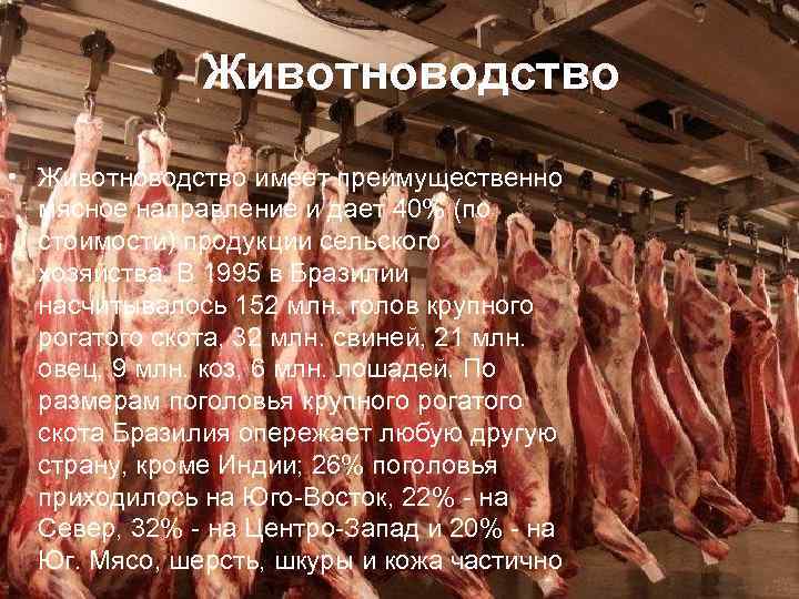 Животноводство • Животноводство имеет преимущественно мясное направление и дает 40% (по стоимости) продукции сельского