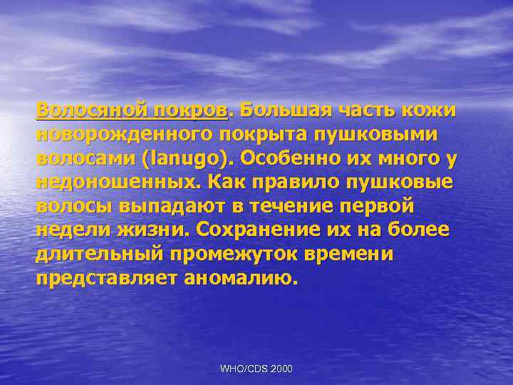 Волосяной покров. Большая часть кожи новорожденного покрыта пушковыми волосами (lanugo). Особенно их много у