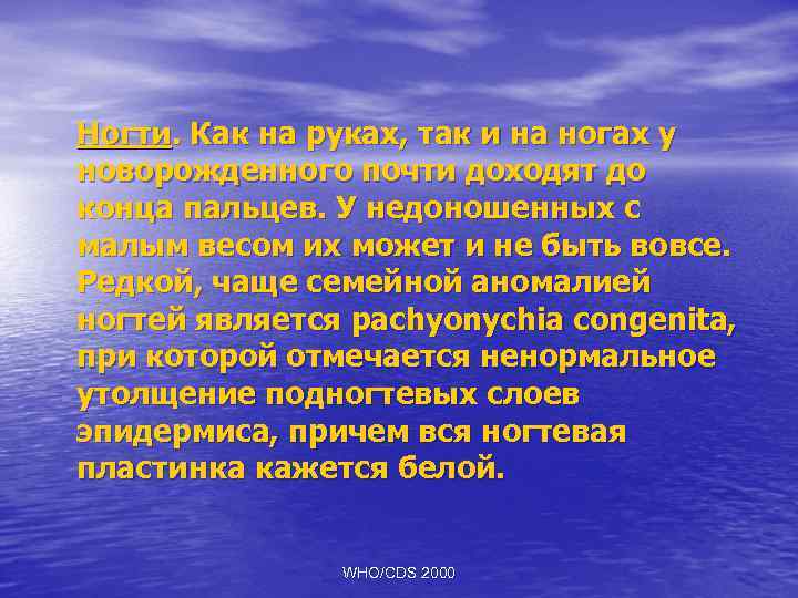 Ногти. Как на руках, так и на ногах у новорожденного почти доходят до конца