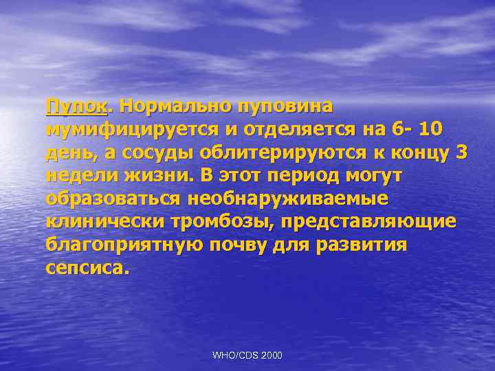 Пупок. Нормально пуповина мумифицируется и отделяется на 6 - 10 день, а сосуды облитерируются