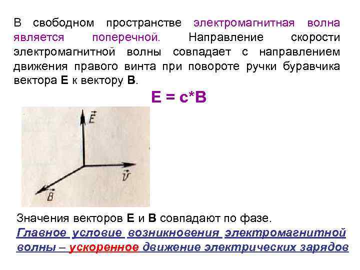 В свободном пространстве электромагнитная волна является поперечной. Направление скорости электромагнитной волны совпадает с направлением