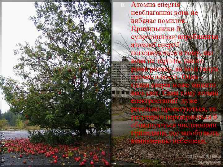  Атомна енергія невблаганна: вона не вибачає помилок. Прихильники й супротивники виробництва атомної енергії