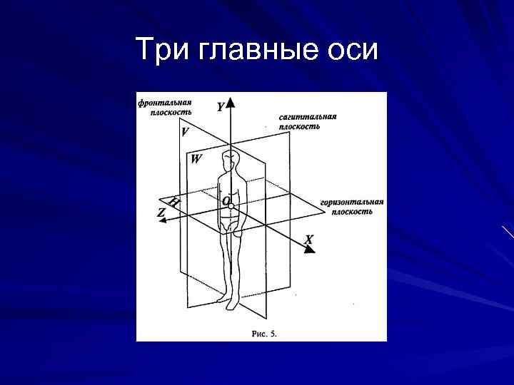 Три главные оси 