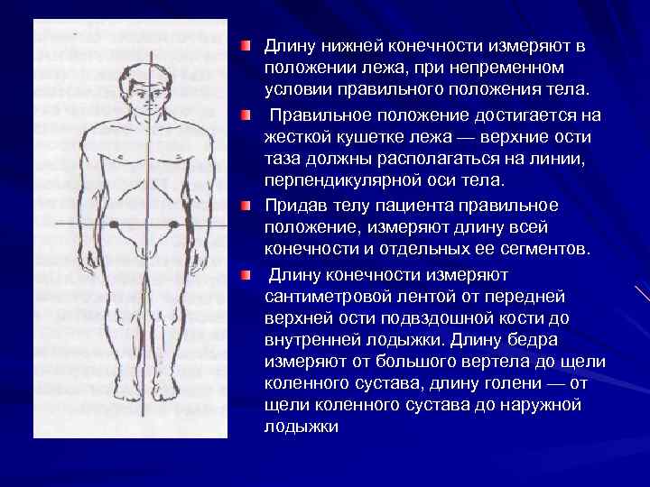 Длину нижней конечности измеряют в положении лежа, при непременном условии правильного положения тела. Правильное