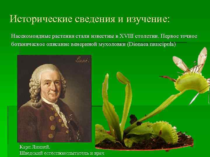 Исторические сведения и изучение: Насекомоядные растения стали известны в XVIII столетии. Первое точное ботаническое
