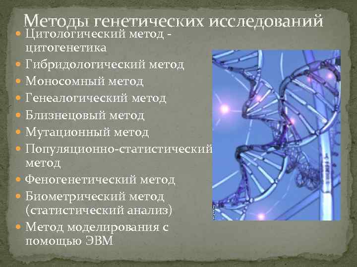 Методы генетических исследований Цитологический метод - цитогенетика Гибридологический метод Моносомный метод Генеалогический метод Близнецовый