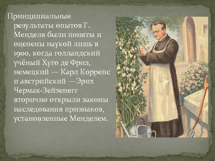 Принципиальные результаты опытов Г. Менделя были поняты и оценены наукой лишь в 1900, когда