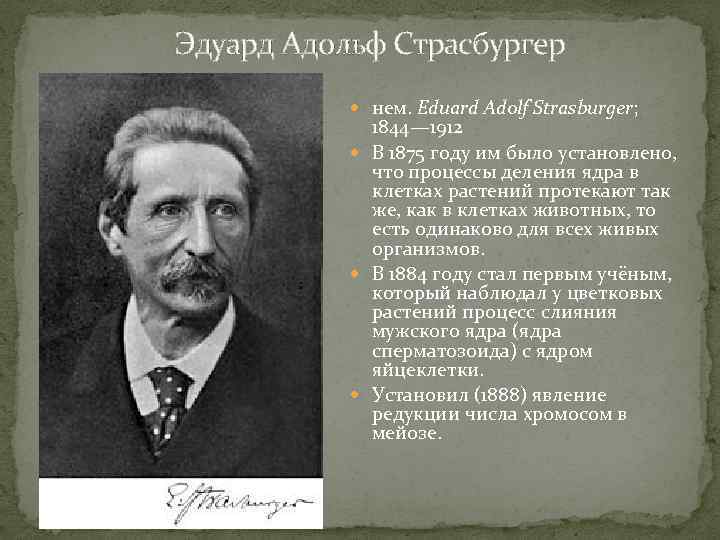 Эдуард Адольф Страсбургер нем. Eduard Adolf Strasburger; 1844— 1912 В 1875 году им было