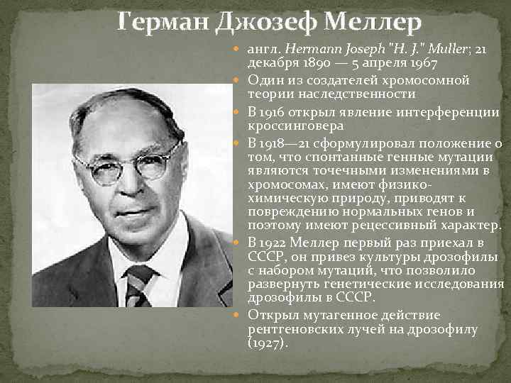 Герман Джозеф Меллер англ. Hermann Joseph "H. J. " Muller; 21 декабря 1890 —