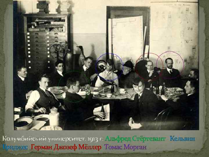Колумбийский университет. 1913 г. Альфред Стёртевант , Кельвин Бриджес, Герман Джозеф Мёллер, Томас Морган