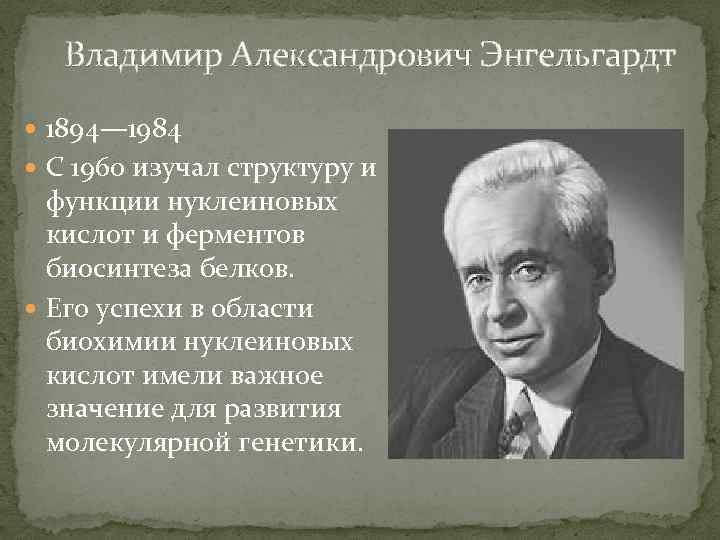 Владимир Александрович Энгельгардт 1894— 1984 С 1960 изучал структуру и функции нуклеиновых кислот и
