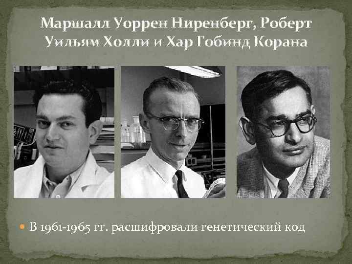 Маршалл Уоррен Ниренберг, Роберт Уильям Холли и Хар Гобинд Корана В 1961 -1965 гг.