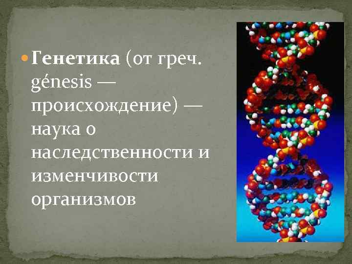  Генетика (от греч. génesis — происхождение) — наука о наследственности и изменчивости организмов