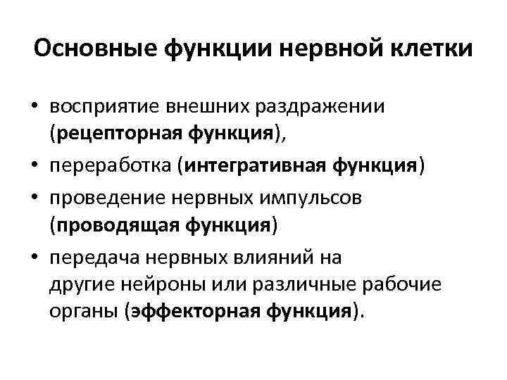 Основные функции нервной клетки • восприятие внешних раздражении (рецепторная функция), • переработка (интегративная функция)