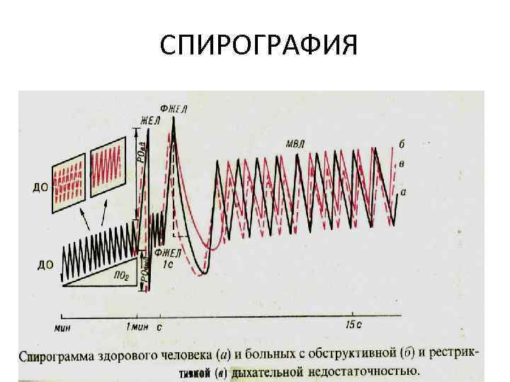 СПИРОГРАФИЯ 