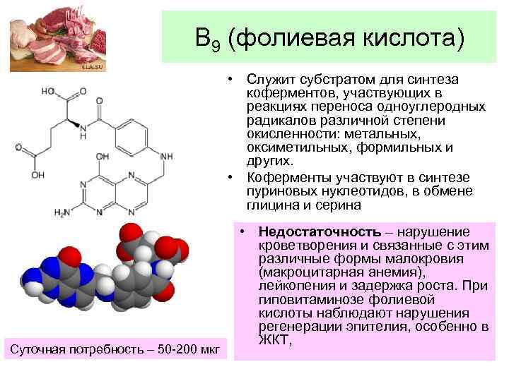 В 9 (фолиевая кислота) • Служит субстратом для синтеза коферментов, участвующих в реакциях переноса