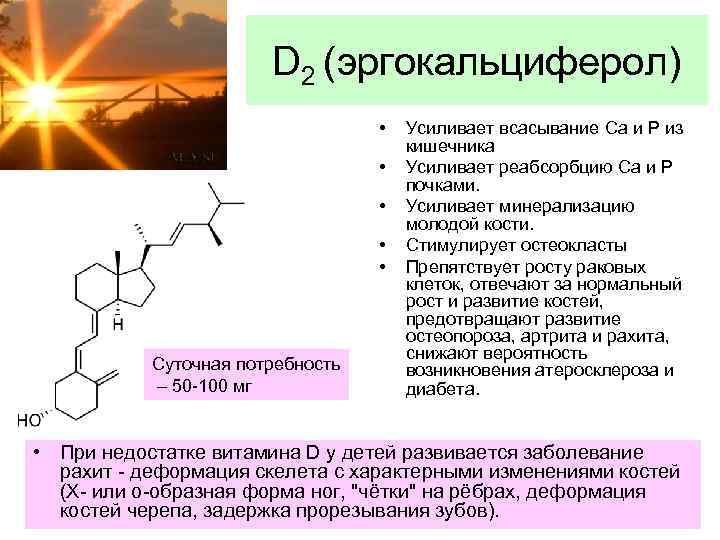 D 2 (эргокальциферол) • • • Суточная потребность – 50 -100 мг Усиливает всасывание