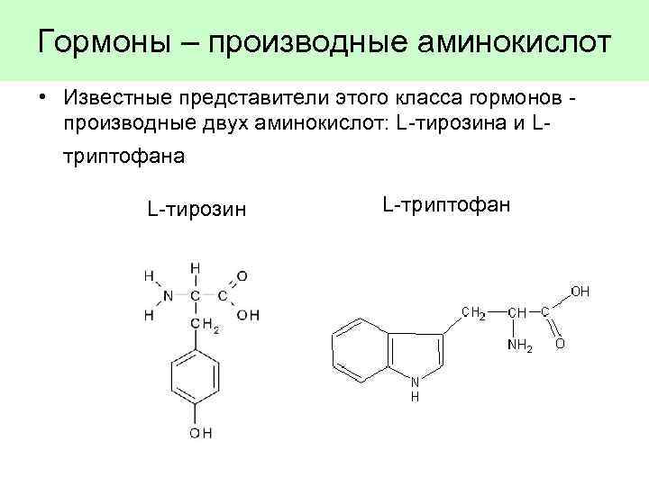 Гормоны – производные аминокислот • Известные представители этого класса гормонов производные двух аминокислот: L-тирозина