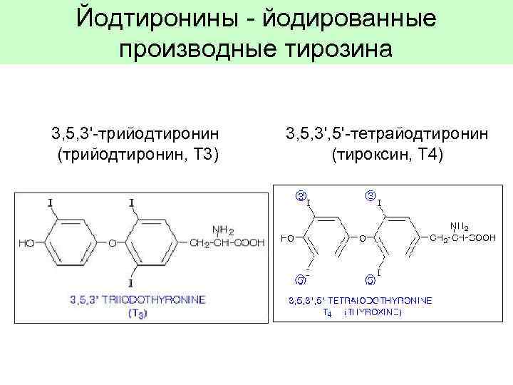 Йодтиронины - йодированные производные тирозина 3, 5, 3'-трийодтиронин (трийодтиронин, Т 3) 3, 5, 3',