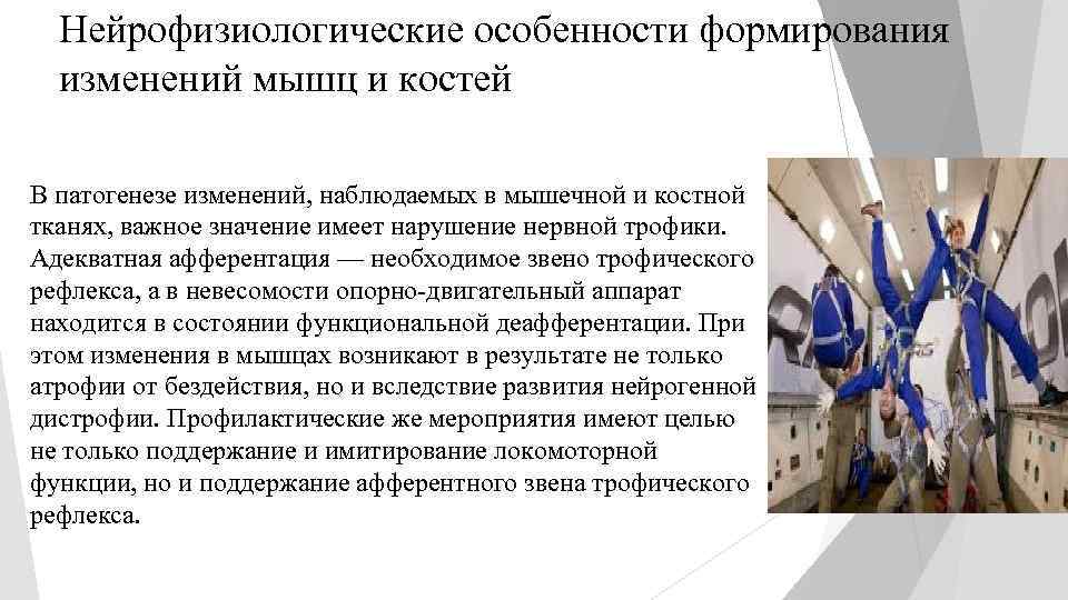 Нейрофизиологические особенности формирования изменений мышц и костей В патогенезе изменений, наблюдаемых в мышечной и