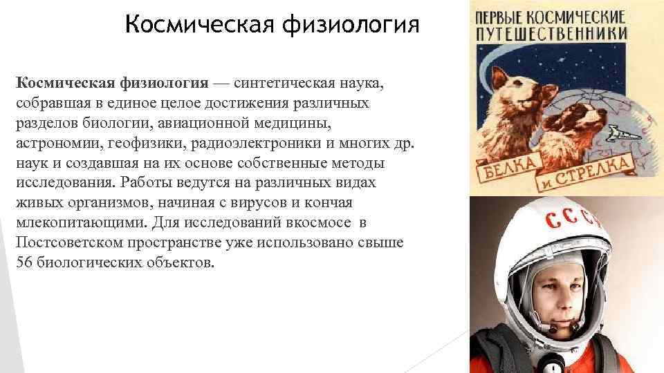 Космическая физиология — синтетическая наука, собравшая в единое целое достижения различных разделов биологии, авиационной