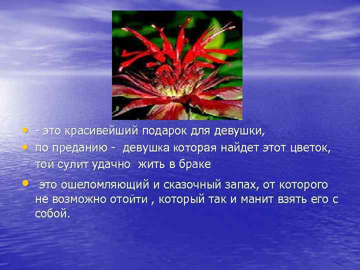  • - это красивейший подарок для девушки, • по преданию - девушка которая
