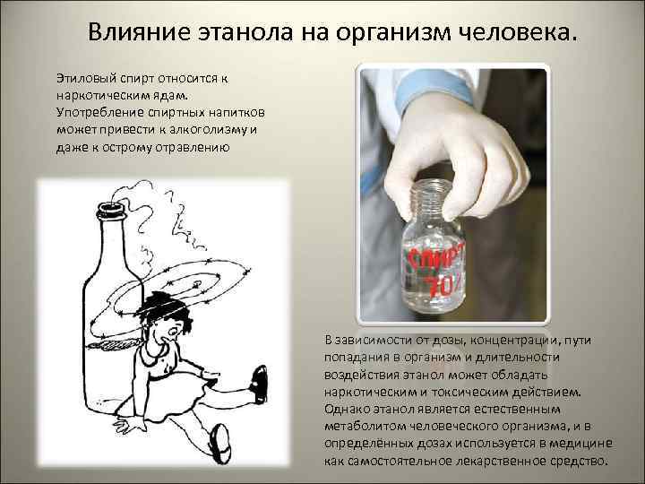 Влияние этанола на организм человека. Этиловый спирт относится к наркотическим ядам. Употребление спиртных напитков
