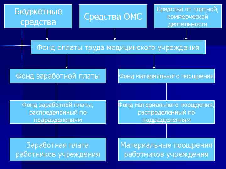 Бюджетные средства Средства ОМС Средства от платной, коммерческой деятельности Фонд оплаты труда медицинского учреждения