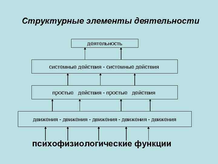 Элементы деятельности. Структурные элементы деятельности. Структурные компоненты деятельности. Основные структурные компоненты деятельности. Психологическое строение индивидуальной деятельности.