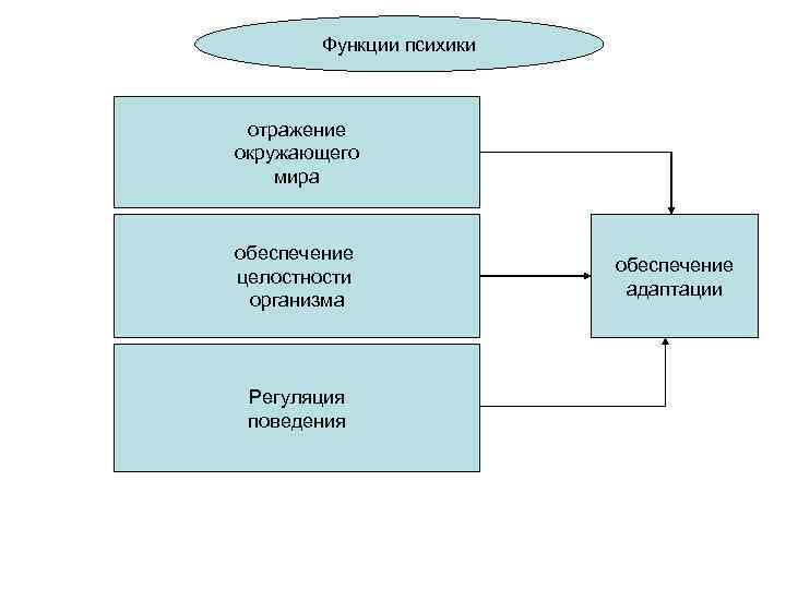 Функции психики отражение окружающего мира обеспечение целостности организма Регуляция поведения обеспечение адаптации 