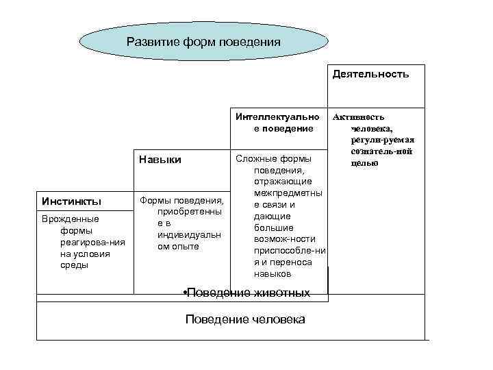 Развитие форм поведения Деятельность Интеллектуально е поведение Навыки Инстинкты Врожденные формы реагирова ния на