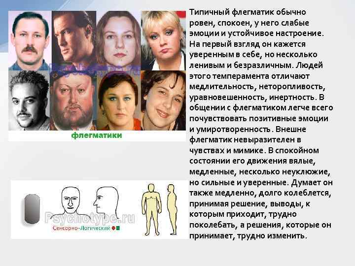 Типичный флегматик обычно ровен, спокоен, у него слабые эмоции и устойчивое настроение. На первый