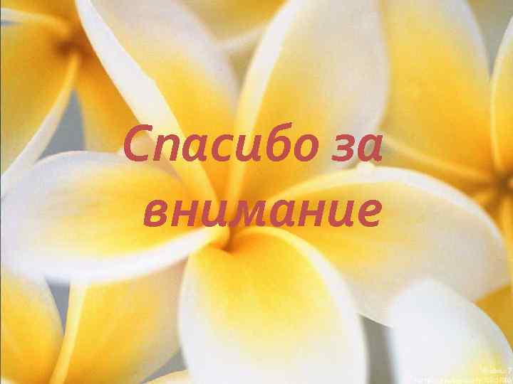 Спасибо за внимание 